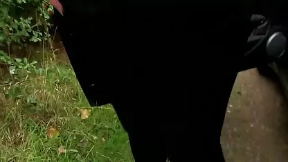 Tình loan luan bo chong nang dau thuyet minh Dục Chuyển Đổi